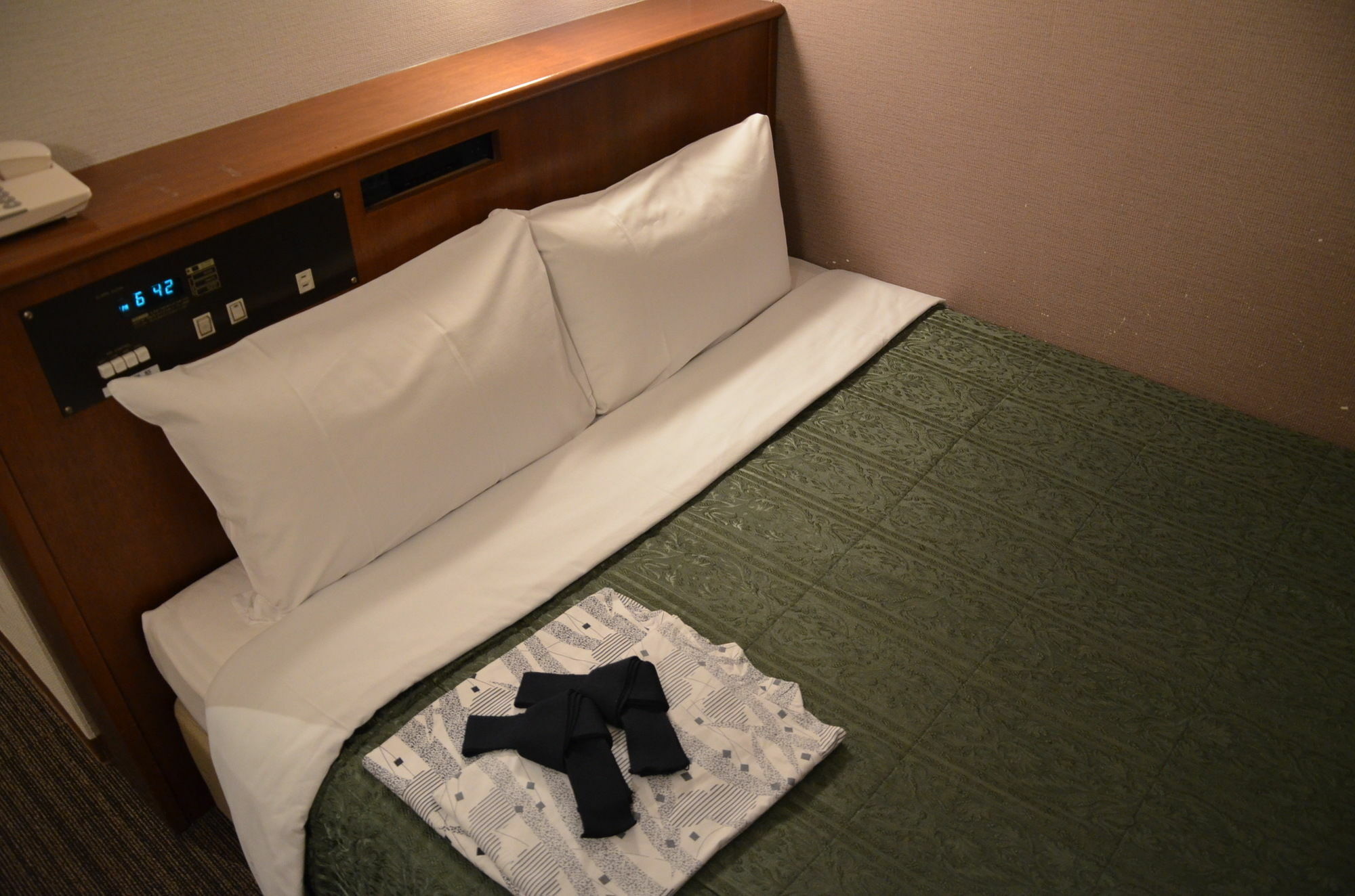 Hikone Biwako Hotel Exteriér fotografie